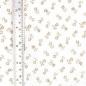Preview: Baumwolle Druck Sternblume Beige auf Weiß